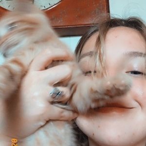 Meet your Posher, Liberty